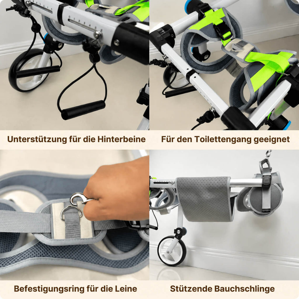 Hunderollstuhl für die Hinterbeine